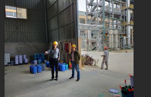 服務與監管并重,助力重點企業復工復產